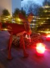 17-12-03-12-03-42-879_deco.jpg