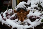 DSC_0015.jpg