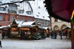 DSC_0135.jpg