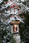 DSC_0161.jpg
