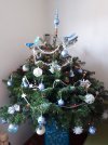 20171207_094240.jpg