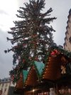 20171207_104935.jpg