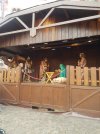 20171207_105020.jpg