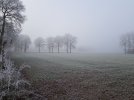 20211221_110607.jpg