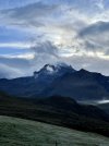 IMG_2684.jpg
