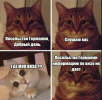 1658408578535.png