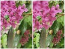 Collage_20230508_152629.jpg
