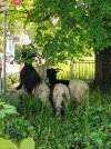 IMG_20230522_205940.jpg