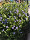 IMG_8860.jpeg