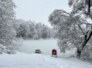 IMG_1686.jpeg
