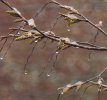IMG_0685.JPG
