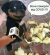 1595279936622.png