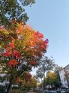 IMG_20201021_165039.jpg