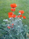 20250520_080502.jpg