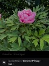 IMG_5434.jpeg