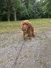IMG_3515.jpeg