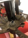 IMG_3185.jpeg