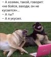 IMG_20250811_211226_331.jpg