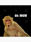 1757942600436.png