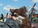 2DSCF9516.jpg