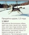 1758641932314.jpeg