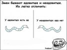 421900.jpg