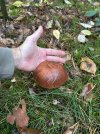 IMG_2926.jpeg