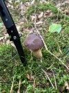 IMG_3212.jpeg