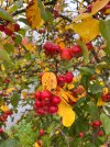 IMG-20251014-WA0017.jpg