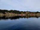 20260507_181938.jpg
