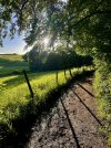 IMG_2141.jpeg