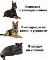 1000081089.jpg