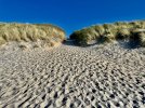 IMG_3801.jpeg