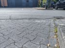 1000083666.jpg