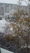 IMG-20201019-WA0001.jpeg