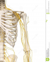 1610027670296.png