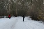 IMG_20210211_155725.jpg