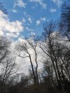 IMG_20210211_144658.jpg