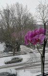 IMG_20210211_155834.jpg