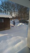 IMG_20210211_162430_521.jpg