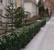 DSC_7885a.JPG