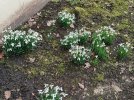 IMG_20210220_163505.jpg