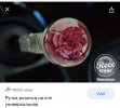 491CF0ED-04B8-4F13-9228-E049C4D6E4E0.jpeg