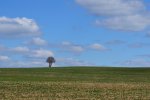 DSC_3309a.JPG