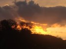 IMG_20210405_195555.jpg