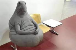 1619080430091.png