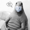 1619603732451.png