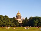 IMG_20210619_203948.jpg
