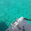 IMG_20210921_201721_072.jpg