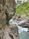 IMG_1023.jpeg